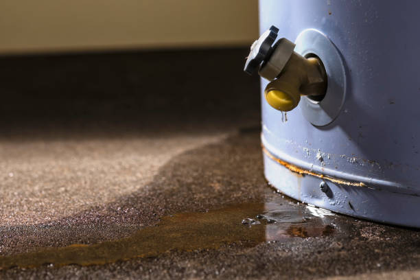 Best Fire Damage Restoration  in Coldspring, TX