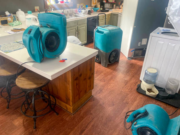 Best Mold removal after water damage  in Coldspring, TX