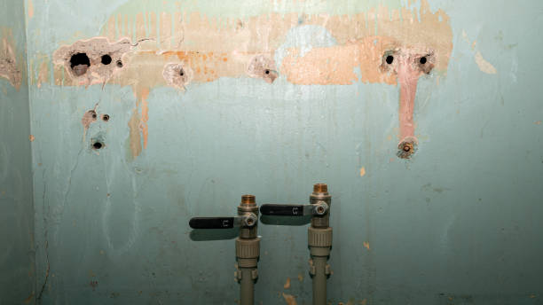 Best Commercial water damage restoration  in Coldspring, TX