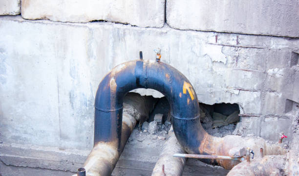 Best Mold removal after water damage  in Coldspring, TX